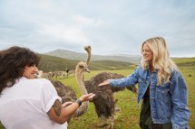 Exploring the Top Travel and Tourism Features: Must-Visit Destinations